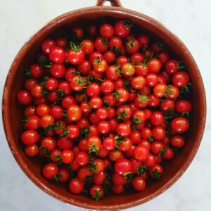 Tomate Cerise Indartia -Solanum lycopersicumL.