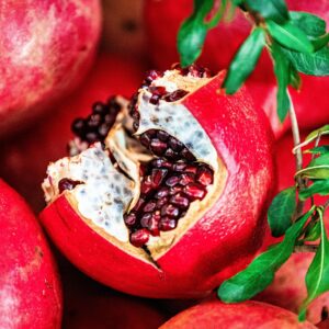 Grenadier- Punica granatum